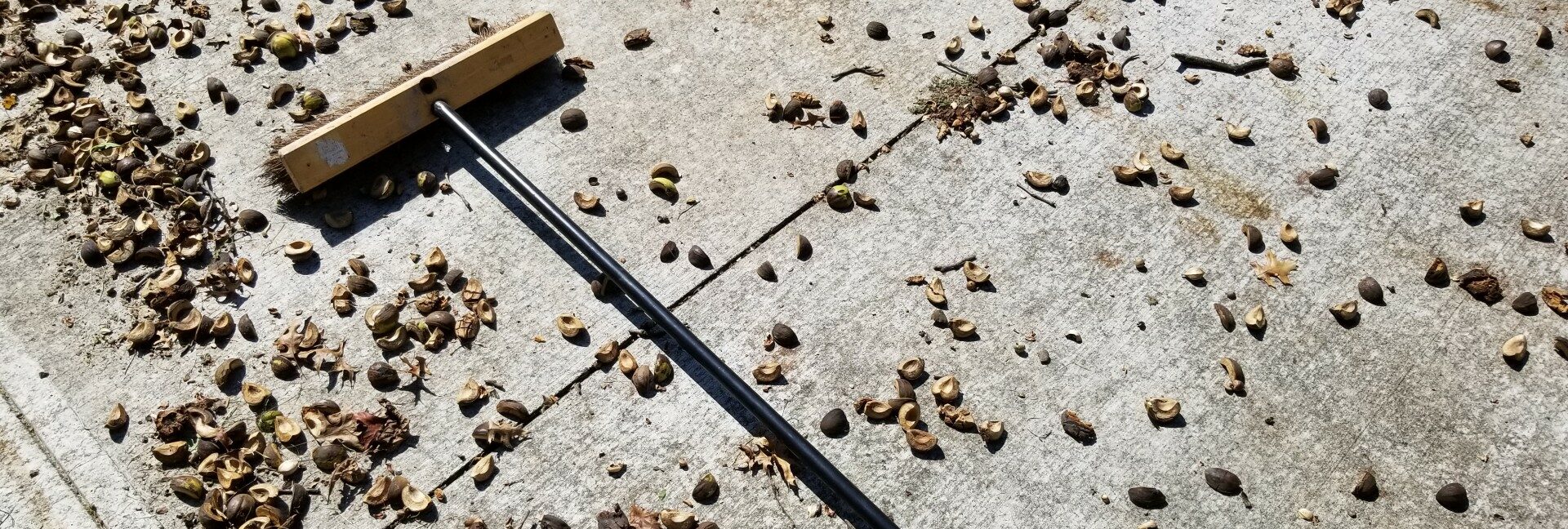 seasonal-driveway-maintenance
