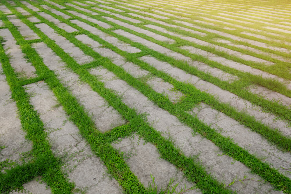 Are There Benefits to Pouring Concrete Over Grass?