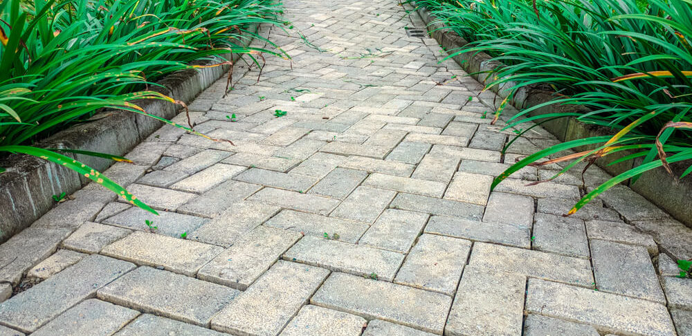 Concrete patio, spring