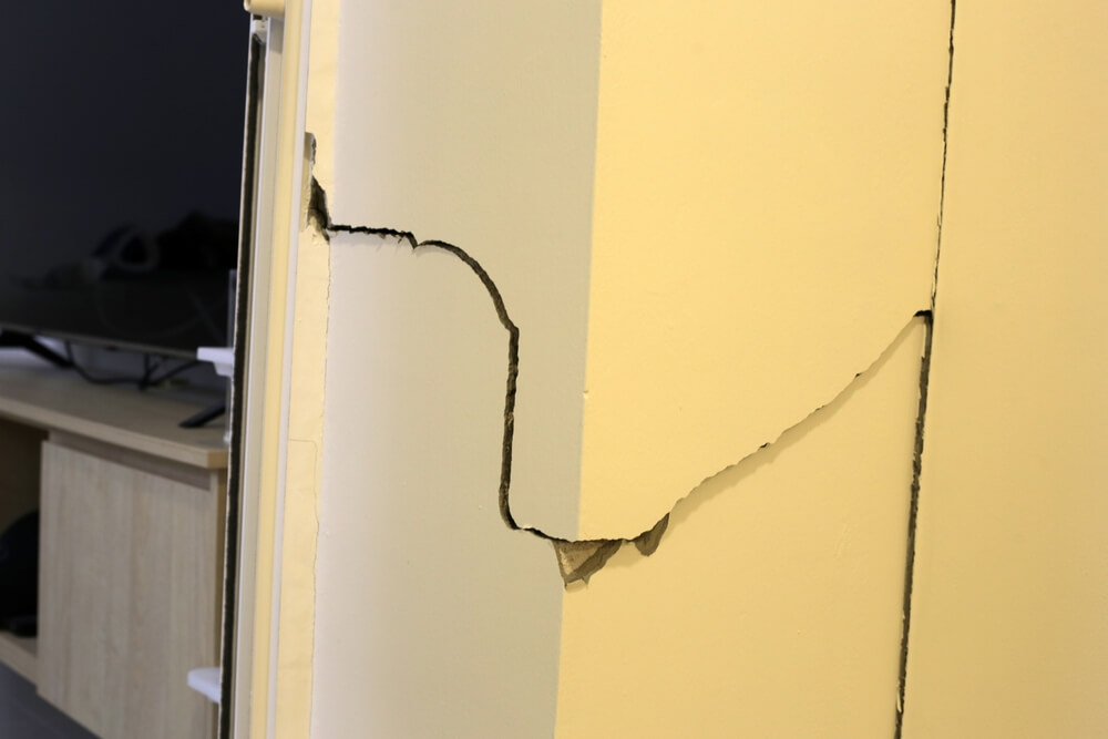 How to Spot and Solve Tree Root Damage to Your Foundation